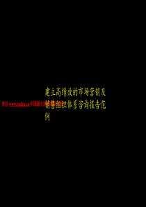 建立高绩效的市场营销及销售组织体系咨询报告范例（PPT 125页）