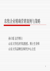 精确营销案例与策略(XXXX年10版)