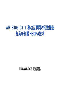 WRBT05C1_1移动互联网时代数据业务竞争利器-HSD