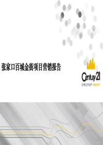 张家口百城金街项目营销报告——调整版