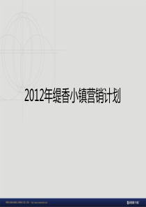 新联康重庆缇香小镇营销报告