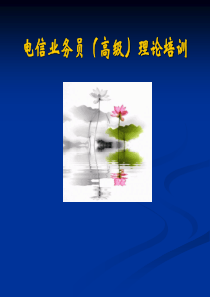 XXXX年电信业务员理论考核(高级)课件2