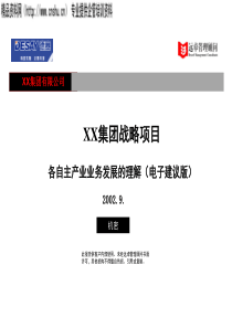 XX集团业务发展的分析