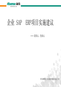 企业SAPERP方案