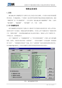 ZXJ10(V10)交换机 特殊业务使用