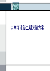 济南大学商业街二期公寓定位与营销推广报告_62PPT_信立怡高