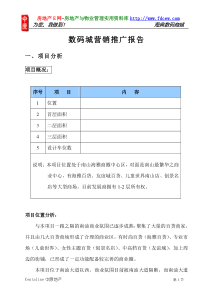 海典数码城营销推广报告(19doc)