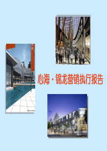 深圳金地置业心海锦龙营销执行报告汇报版-99PPT