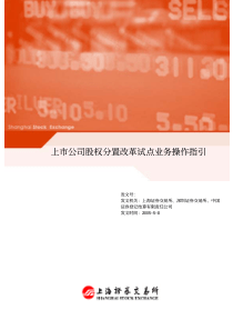 上市公司股权分置改革试点业务操作指引