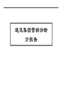 通灵营销诊断报告(1)