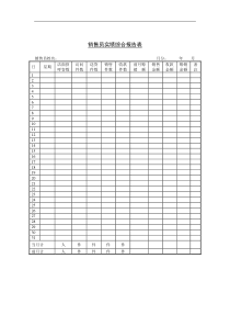 销售员实绩综合报告表（DOC 1页）