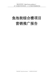 鱼池街综合楼项目营销推广报告