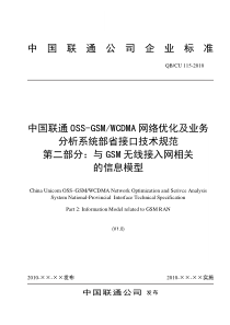 中国联通OSS-GSMWCDMA网络优化及业务分析系统部省接口