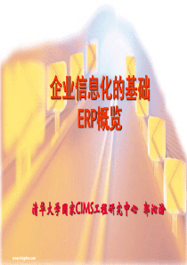 企业信息化的基础——ERP概览