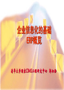 企业信息管理战略-ERP基础