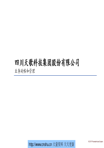 四川天歌科技集团股份有限公司业务战略和管理