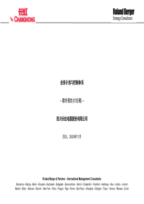 四川长虹业务计划与控制体系