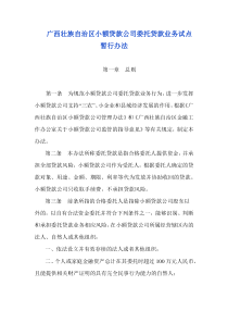 广西壮小额贷款公司委托贷款业务试点暂行办法