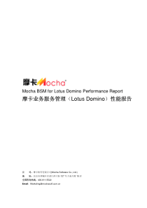 摩卡业务服务管理（LotusDomino）性能报告