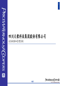 普华永道—四川天歌科技集团业务战略和管理咨询报告（研讨会）