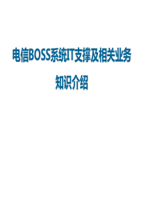 电信IT支撑系统及相关业务介绍