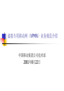 虚拟专用移动网(VPMN)业务规范介绍