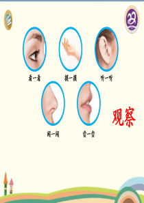 一年级上册科学课件-5常见的水果和蔬菜-粤教版-