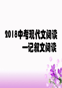 2018河南中考语文复习