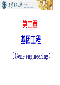 XXXX-9-16BT第2讲基因工程第1讲-概论