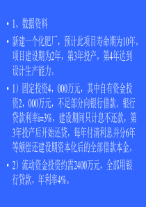 建设项目财务评价案例剖析