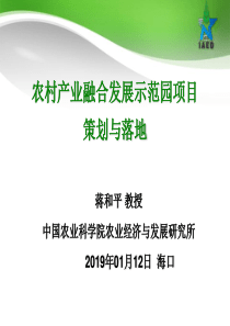 农村产业融合发展示范园项目策划与落实