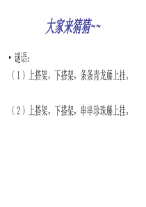 小学语文四年级上册6《爬山虎的脚》