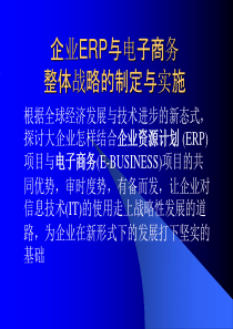 企业ERP与电子商务整体战略的制定与实施(ppt 60)