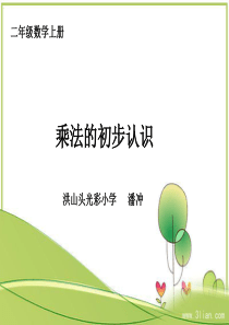 新人教版二年级上册数学课件《乘法的初步认识》