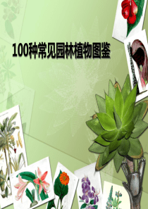 100种园林植物图鉴