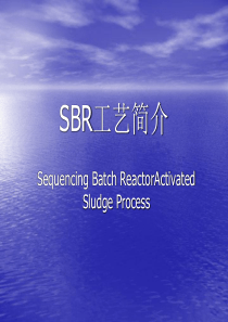 SBR工艺简介概述