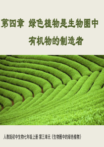 《绿色植物是生物圈中有机物的制造者》教学课件1