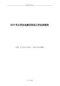 2019年公司企业意识形态工作总结报告