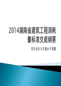 XXXX湖南省建筑工程定额交底低板软件