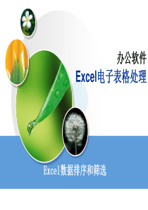 Excel-排序和筛选