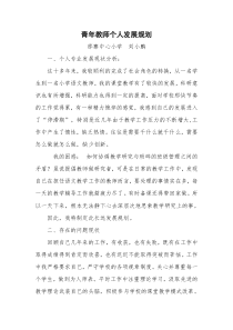 青年教师个人发展规划