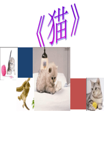 《猫》说课稿课件