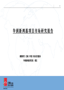 戴德梁行杭州华润新鸿基万象城商业项目市场研究