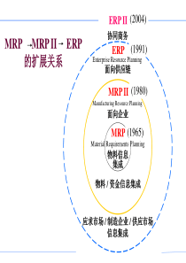 企业资源规划（erp）