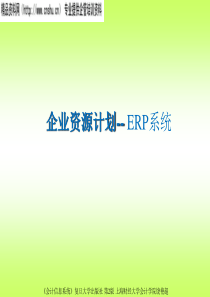 企业资源计划--ERP系统（PPT29页）