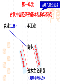 发达的古代农业(高考一轮复习)