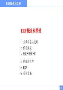 企业资源计划-ERP概念和原理