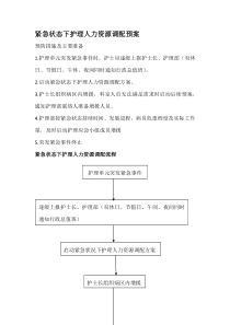 紧急状态下护理人力资源调配预案