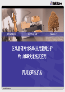 区域存储网络SAN应用案例分析.ppt