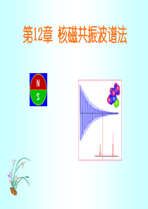 自旋偶合